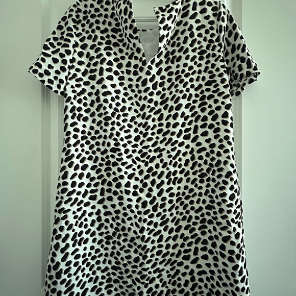 ANN TAYLOR • Animal Print Short Sleeve Dress • 6P • - Picture 7 of 8